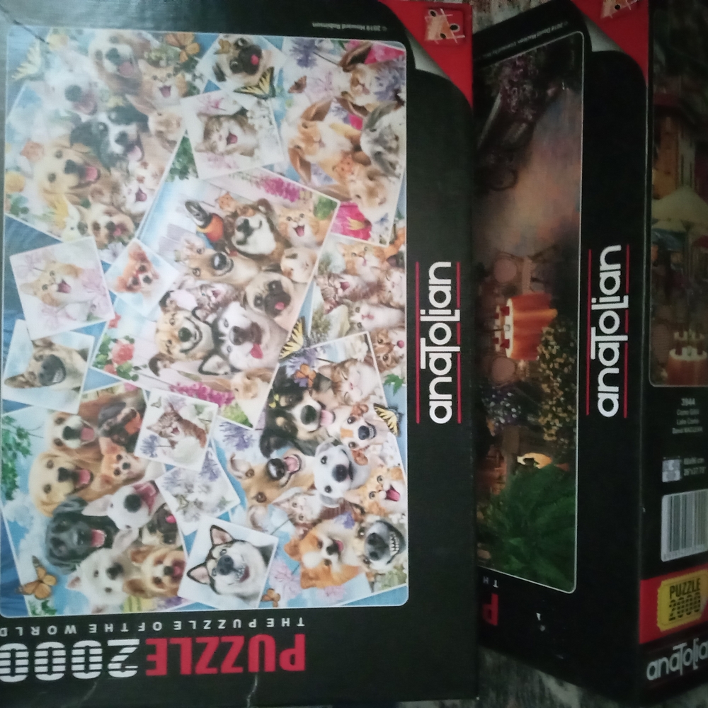 Dog Puzzle - Colorful Design